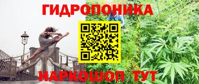 ГАЛЛЮЦИНОГЕННЫЕ ГРИБЫ Малгобек