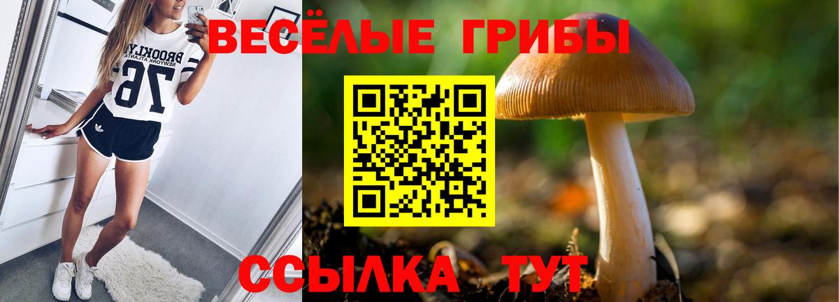 Ханты-Мансийск  Галлюциногенные грибы GOLDEN TEACHER  Вход с VPN  закладки  Галлюциногенные грибы Magic Shrooms 